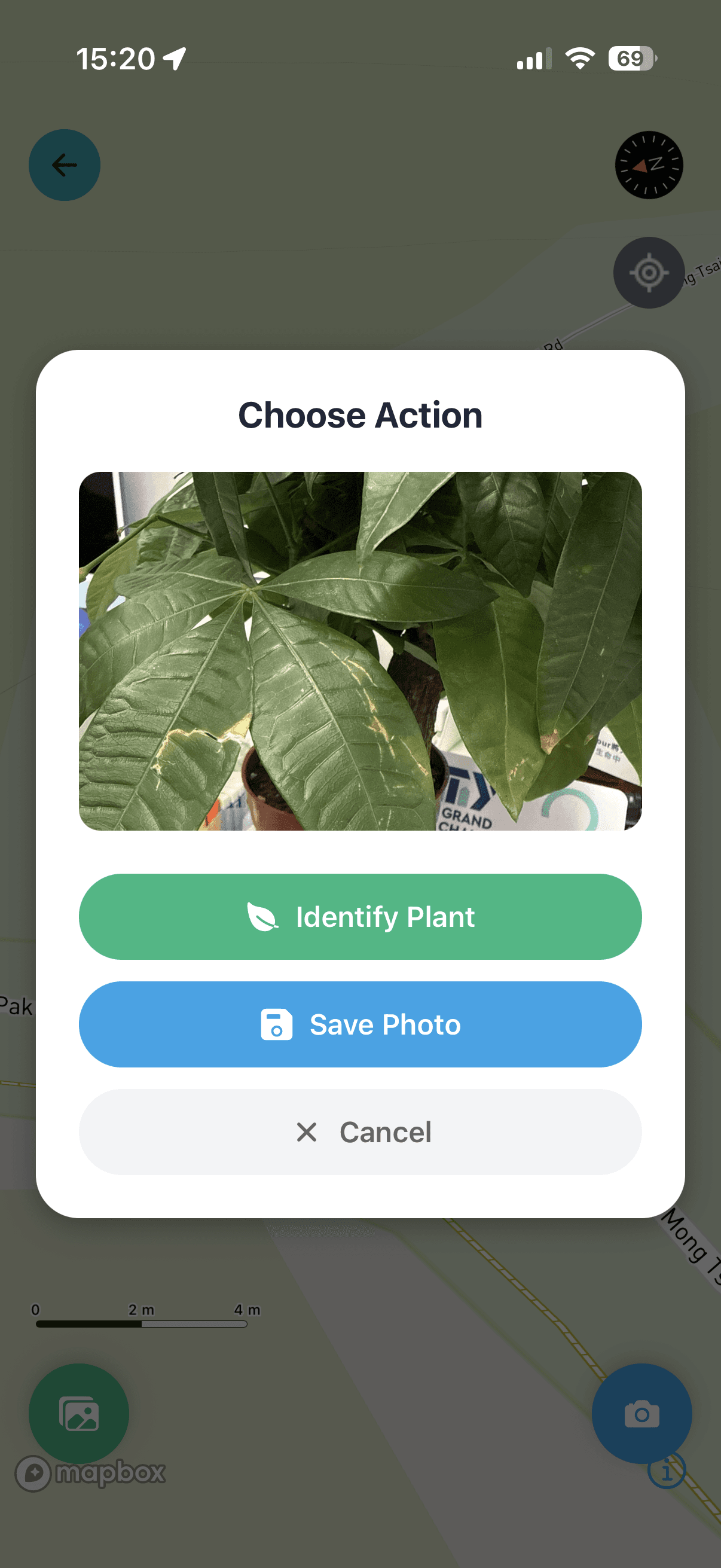 Plant recognition screen showing plants and trees in the surroundings